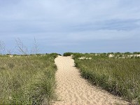 0034_IMG_4856.jpg