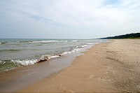 0041_SS200021a.jpg