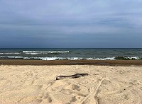 0046_IMG_4866.jpg