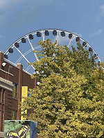 0289_IMG_9637.jpg