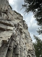 0393_IMG_9806.jpg
