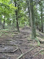 0457_IMG_9950.jpg