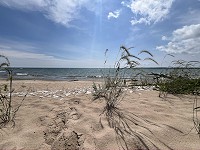0596_IMG_5990.jpg