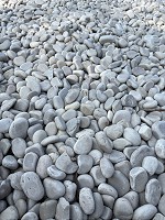 0617_IMG_0206.jpg