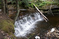 0741_SS200214.jpg