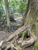 0744_IMG_0551.jpg