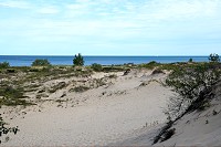 1242_SS200477a.jpg