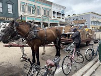 1385_IMG_1462.jpg