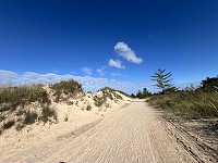 1408_IMG_7704a.jpg