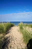 1413_SS200505.jpg