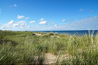 1414_SS200506.jpg
