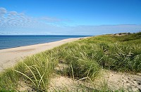 1416_SS200509.jpg