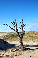 1418_SS200520.jpg