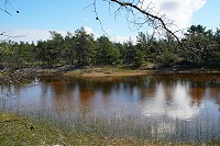 1421_SS200522.jpg
