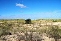 1422_SS200523.jpg