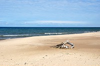 1431_SS200538.jpg