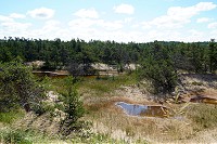 1463_SS200567.jpg