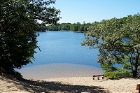 1468_SS200573.jpg