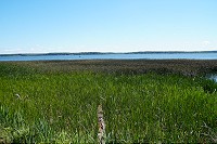 1473_SS200578.jpg