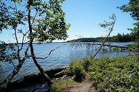 1476_SS200581.jpg