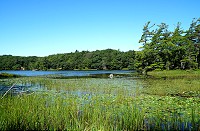 1479_SS200584.jpg