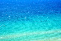 1486_SS200592.jpg