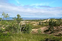 1596_SS200681a.jpg
