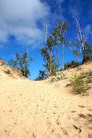 1603_SS200686.jpg