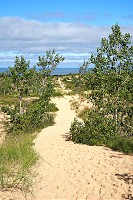 1605_SS200687.jpg