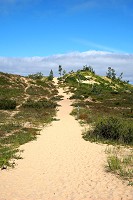1614_SS200692.jpg