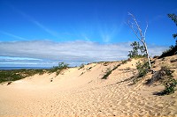 1616_SS200694.jpg