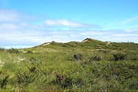 1619_SS200695.jpg