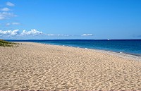 1623_SS200699.jpg