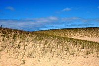 1636_SS200713.jpg