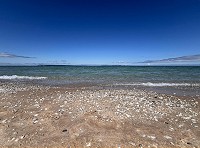 1659_IMG_8146.jpg