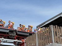 1733_IMG_8325.jpg