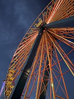 1785_IMG_8636.jpg
