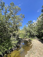 1804_IMG_8669.jpg