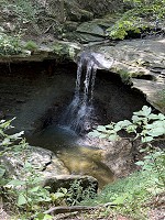 1815_IMG_2210.jpg