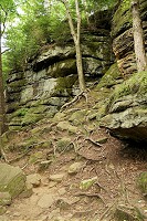 1826_SS200755.jpg