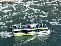 2017_IMG_2545.jpg